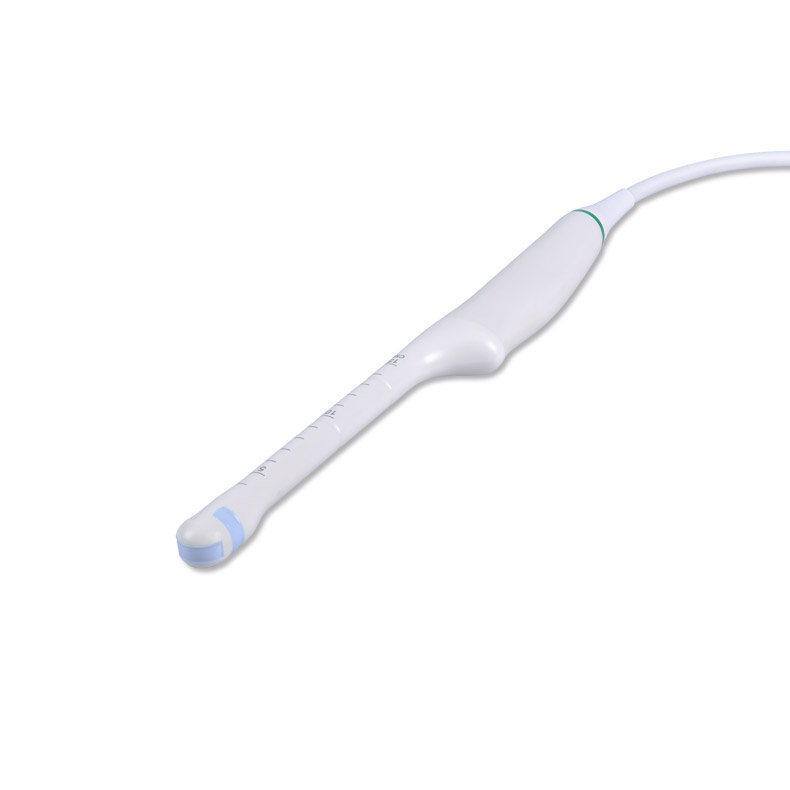 Sonde Endo-vaginale pour MX-T8